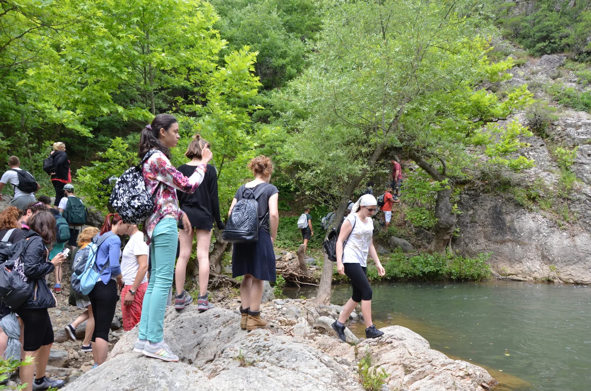 A detail from Iznik for Trip Preparation for Tacir Canyon
