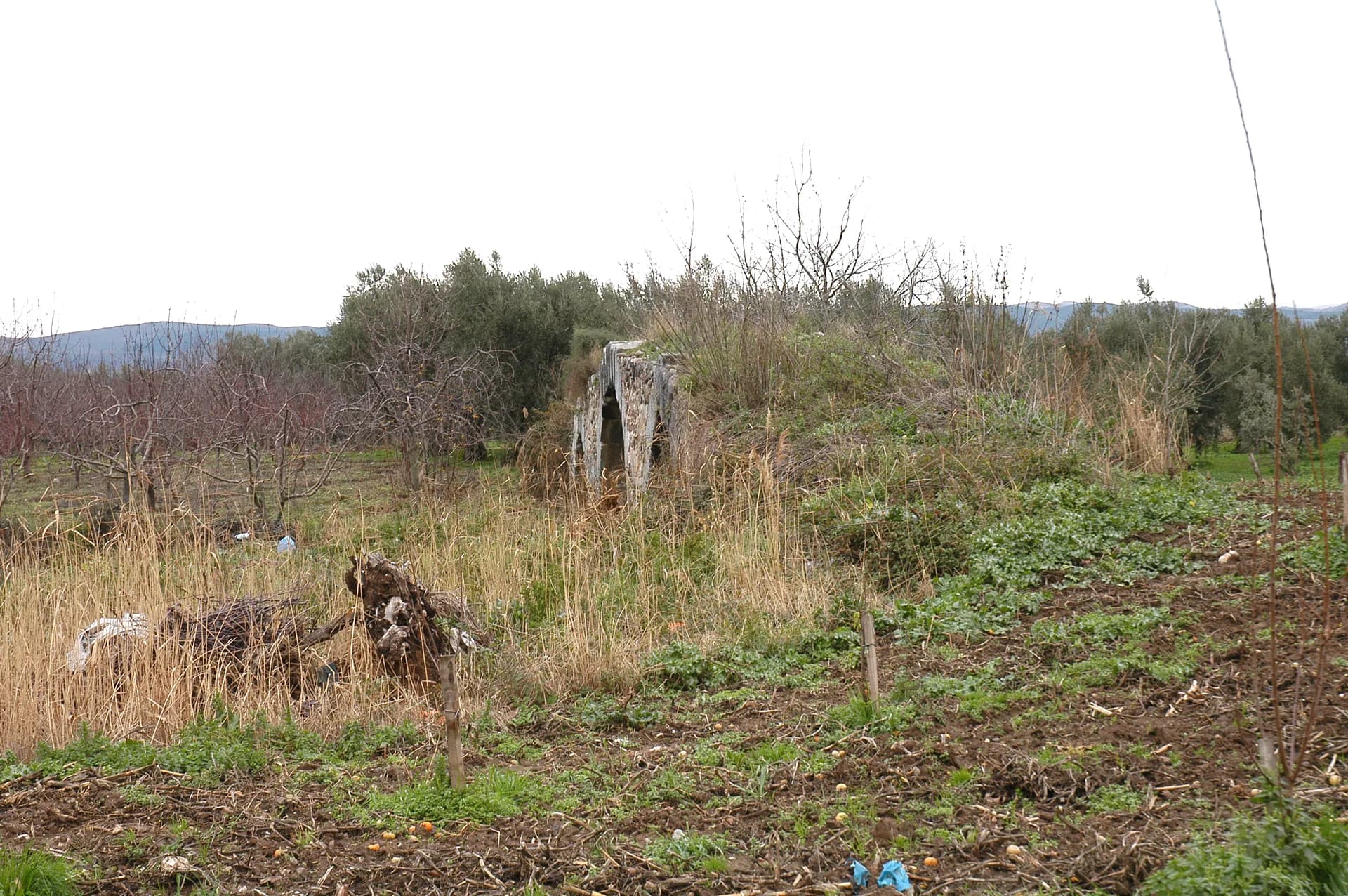Historische Steinbrücke — 3